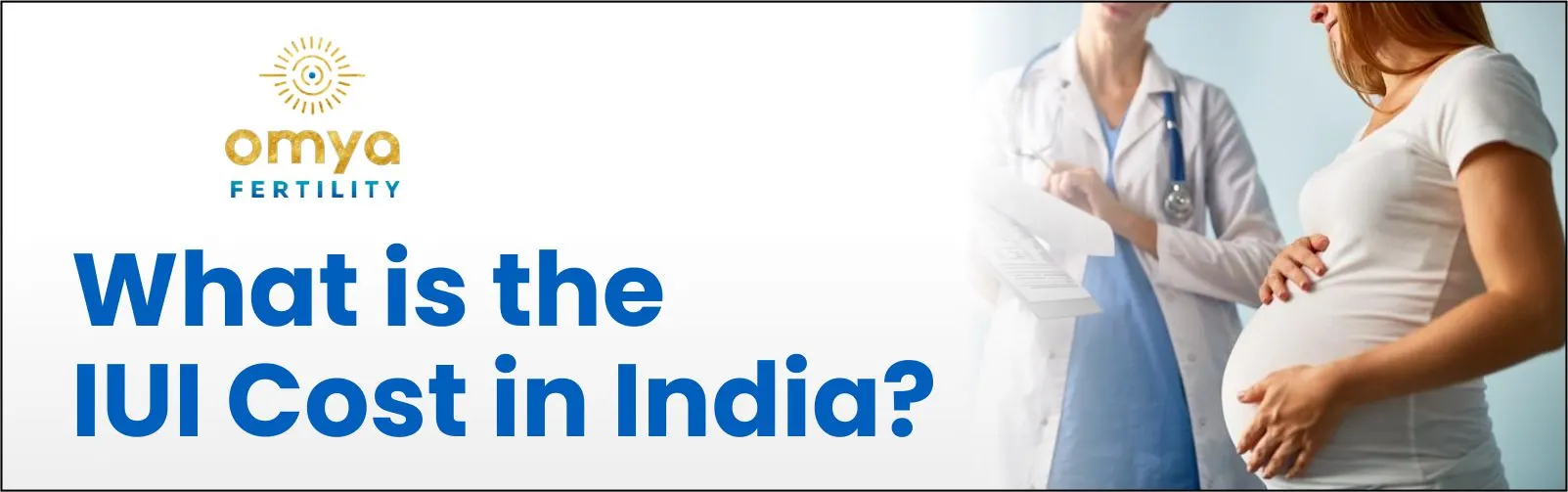 What is the IUI Cost in India?