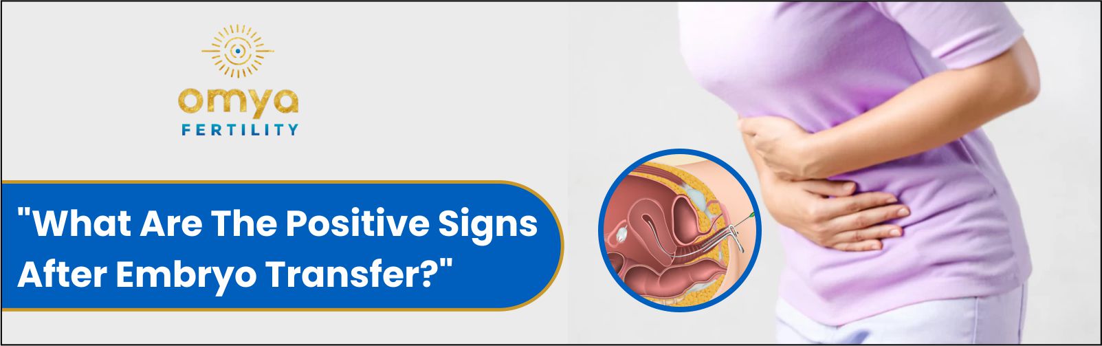 What are the positive signs after the embryo transfer?