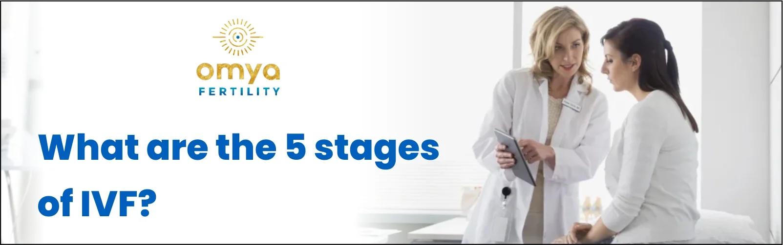 What are the 5 Stages of IVF?