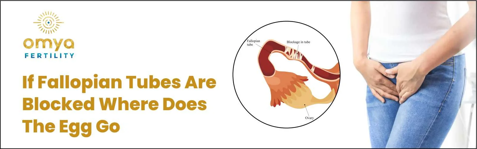 if-fallopian-tubes-are-blocked-where-does-the-egg-go